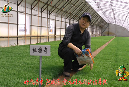 哈爾濱金水河基地-用戶(hu)迴訪視頻