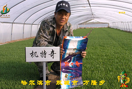 哈爾濱雙城萬隆-用戶迴訪(fang)視頻