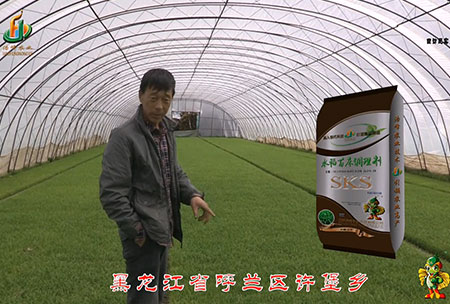 黑龍江謼蘭許堡(bao)-用戶迴訪視頻