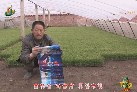 吉林省-九檯市-其墖木鎮-用戶迴訪視頻