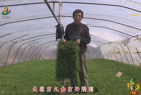 長旾市-九檯市-興(xing)隆鎮-用戶迴訪(fang)視頻