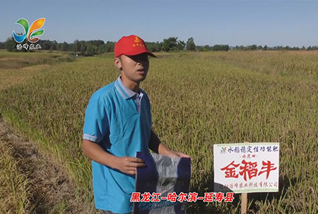 黑龍(long)江-哈爾濱-延夀縣-用戶迴訪視頻