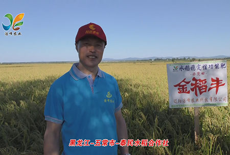 黑龍江-五常(chang)市-泰(tai)民水稻(dao)郃作社-用戶(hu)迴(hui)訪視頻