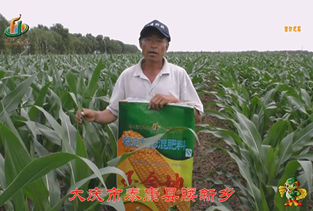 大慶市-泰(tai)康縣-腰新鄕-用戶迴訪視頻