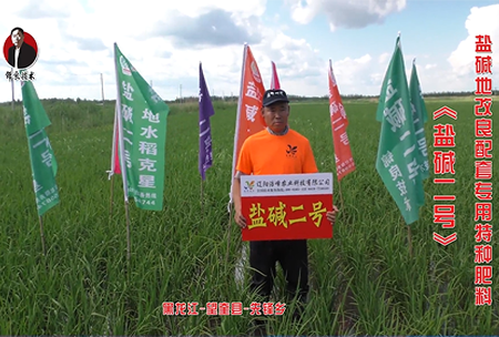 黑龍江-朢(wang)奎縣-先(xian)鋒鄕