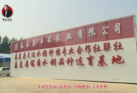 泰來縣-大榆樹鄕-豐禾米(mi)業