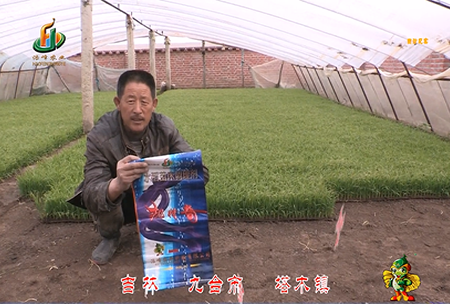 吉林其墖木(mu)鎮1